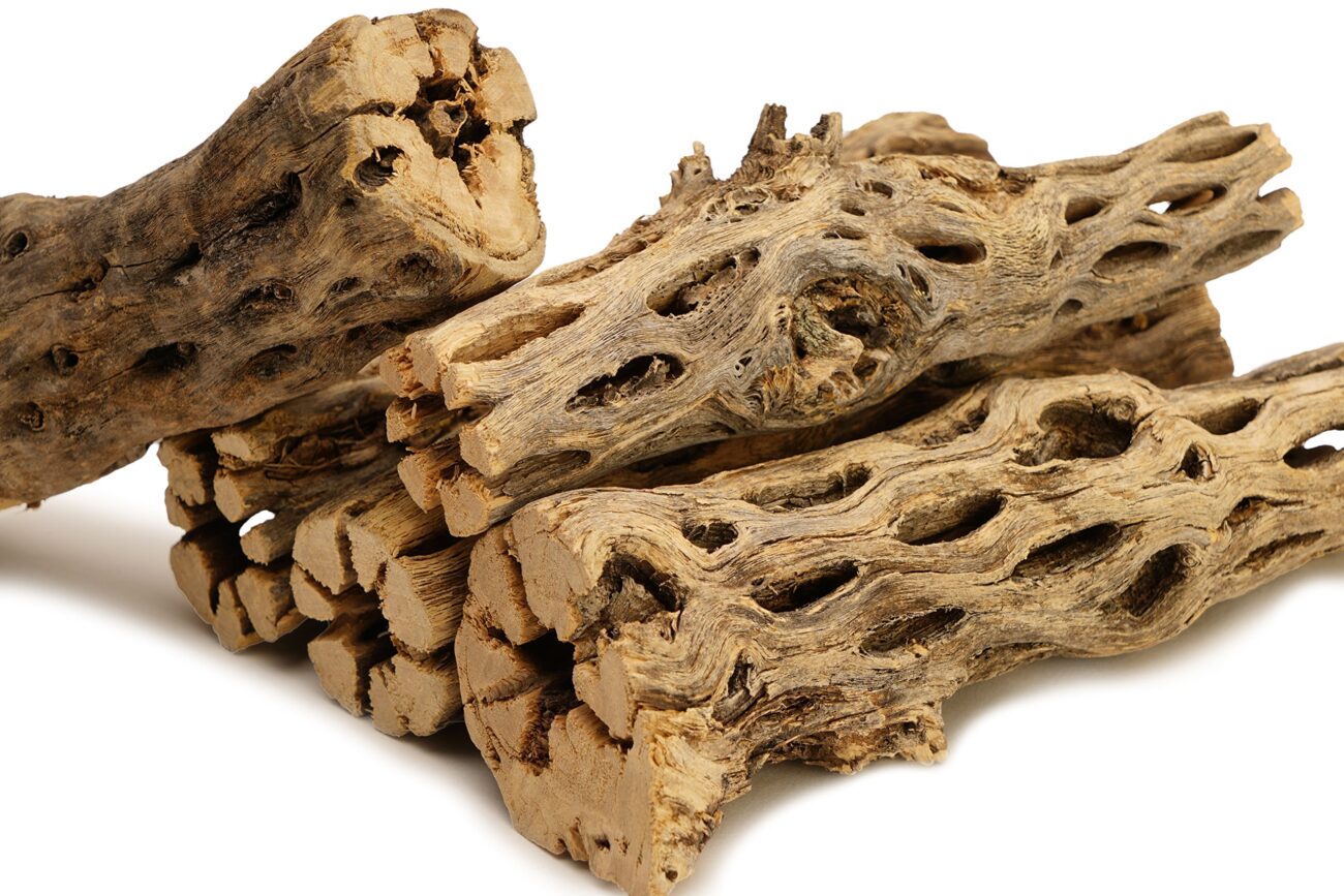 Коряга Чолла (Cjolla Wood)