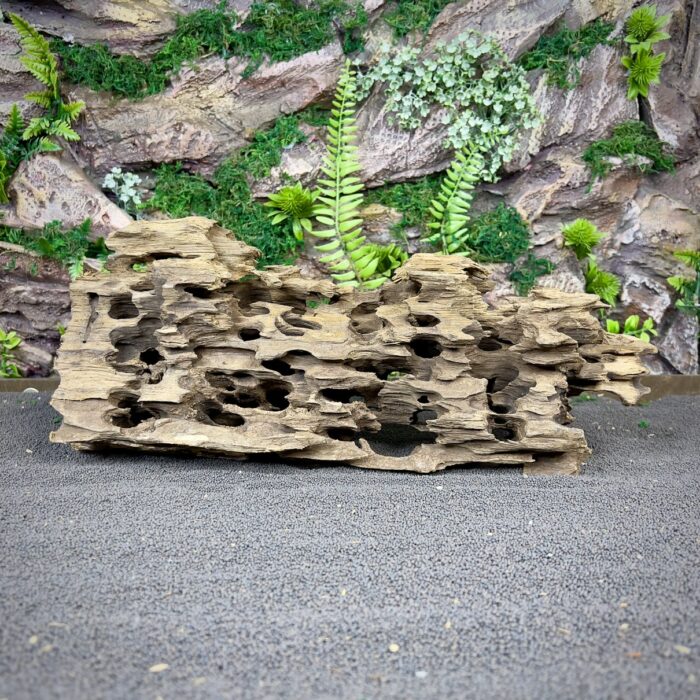 Коряга Дракон (Honeycomb/Dragon Wood)