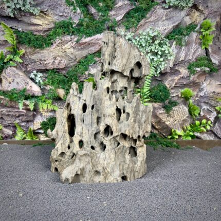 Коряга Дракон (Honeycomb/Dragon Wood) НКД334