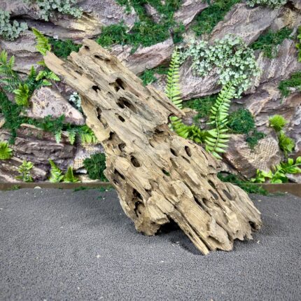 Коряга Дракон (Honeycomb/Dragon Wood) НКД335
