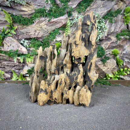 Коряга Дракон (Honeycomb/Dragon Wood) НКД336