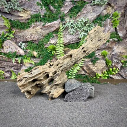 Коряга Дракон (Honeycomb/Dragon Wood) НКД337