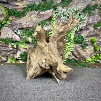 Коряга Дракон (Honeycomb/Dragon Wood) НКД338