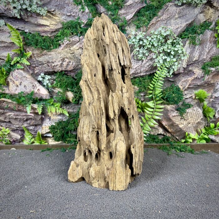 Коряга Дракон (Honeycomb/Dragon Wood) НКД339