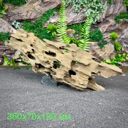 Коряга Дракон (Honeycomb/Dragon Wood) НКД340