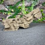 Коряга Дракон (Honeycomb/Dragon Wood) НКД341