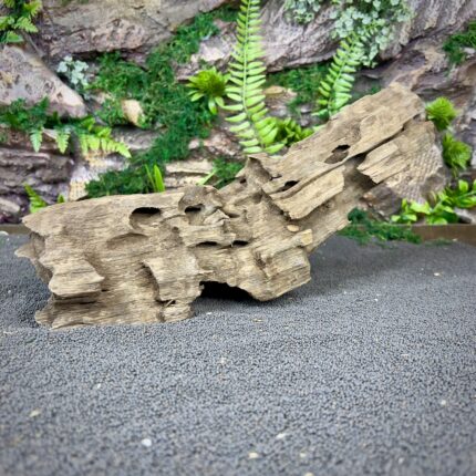 Коряга Дракон (Honeycomb/Dragon Wood) НКД341
