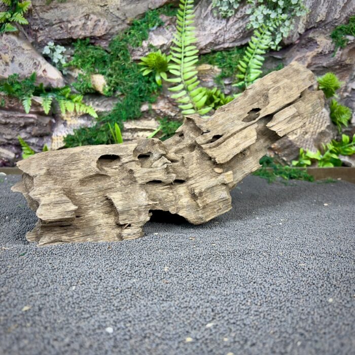 Коряга Дракон (Honeycomb/Dragon Wood) НКД341