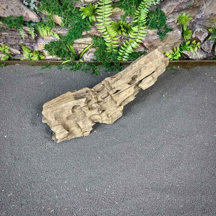 Коряга Дракон (Honeycomb/Dragon Wood) НКД341 — изображение 3