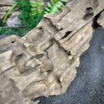 Коряга Дракон (Honeycomb/Dragon Wood) НКД341 — изображение 4