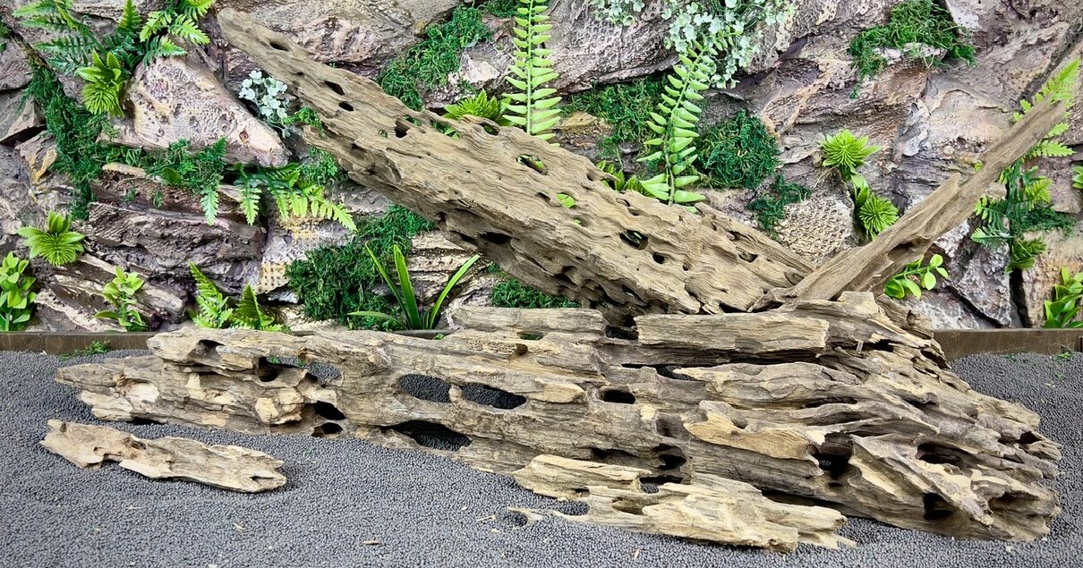 Коряга Кожа Дракона (Dragon Wood)