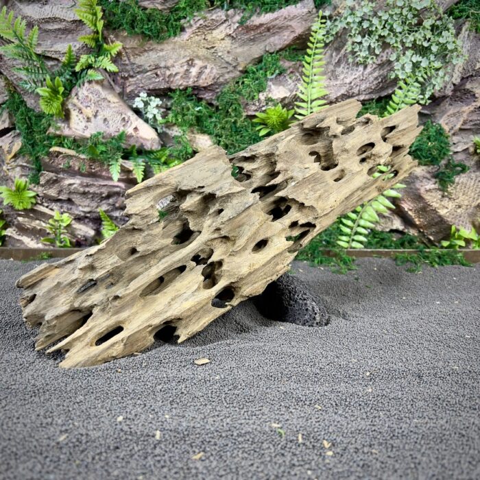 Коряга Дракон (Honeycomb/Dragon Wood) НКД345