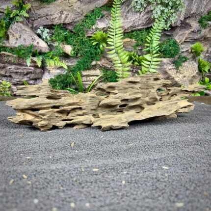 Коряга Дракон (Honeycomb/Dragon Wood) НКД347