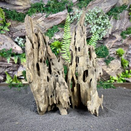 Коряга Дракон (Honeycomb/Dragon Wood) НКД348