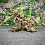 Коряга Дракон (Honeycomb/Dragon Wood) НКД349