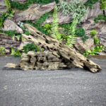 Коряга Дракон (Honeycomb/Dragon Wood) НКД350