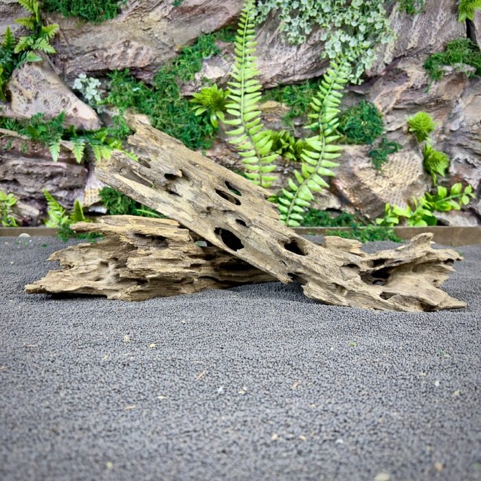 Коряга Дракон (Honeycomb/Dragon Wood) НКД351