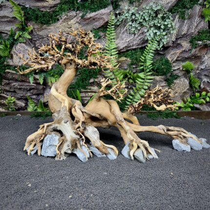 Коряга Бонсай