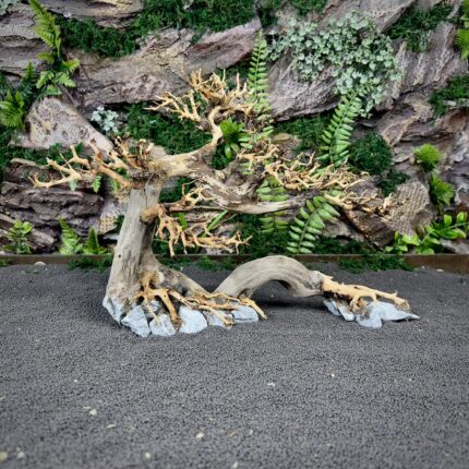 Коряга Бонсай