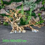 Коряга Бонсай БОН109 — изображение 2