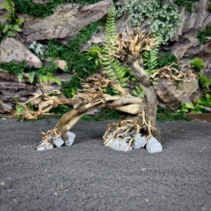 Коряга Бонсай