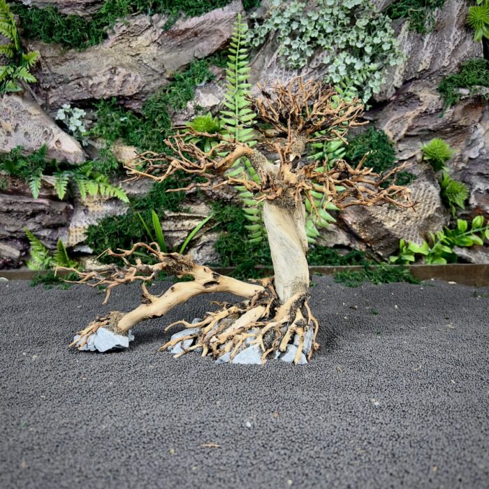 Коряга Бонсай