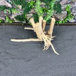 Паучий корень/Корень Азалии НК579 — изображение 3