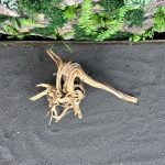 Паучий корень/Корень Азалии НК581 — изображение 4