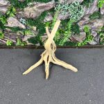 Паучий корень/Корень Азалии НК586 — изображение 3