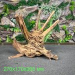 Паучий корень/Корень Азалии НК600 — изображение 2
