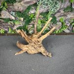 Паучий корень/Корень Азалии НК600 — изображение 3