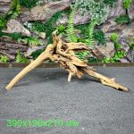Паучий корень/Корень Азалии НК604 — изображение 2