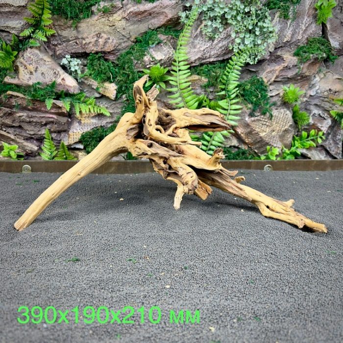 Паучий корень/Корень Азалии НК604 — изображение 2