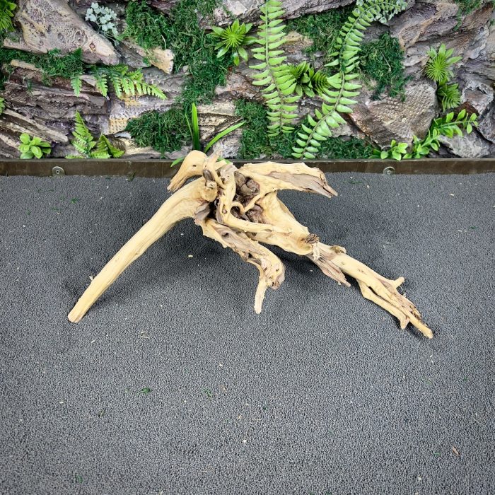 Паучий корень/Корень Азалии НК604 — изображение 3