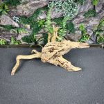 Паучий корень/Корень Азалии НК606 — изображение 3