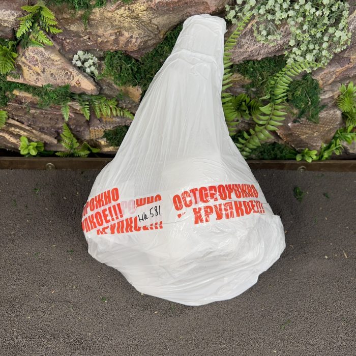 Паучий корень/Корень Азалии НК581 — изображение 5