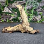 Коряга Мопани/Африканское железное дерево МП614
