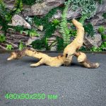 Коряга Мопани/Африканское железное дерево МП618 — изображение 2