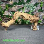 Коряга Мопани/Африканское железное дерево МП619 — изображение 2