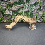 Коряга Мопани/Африканское железное дерево МП619 — изображение 3