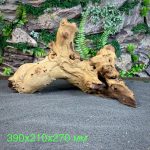 Коряга Мопани/Африканское железное дерево МП625 — изображение 2