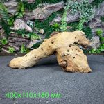 Коряга Мопани/Африканское железное дерево МП628 — изображение 2