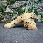 Коряга Мопани/Африканское железное дерево МП628