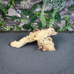 Коряга Мопани/Африканское железное дерево МП628 — изображение 3