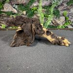 Коряга Мопани/Африканское железное дерево МП628 — изображение 4