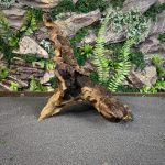 Коряга Мопани/Африканское железное дерево МП631