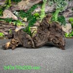 Коряга Мопани/Африканское железное дерево МП640 — изображение 2