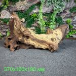 Коряга Мопани/Африканское железное дерево МП642 — изображение 2