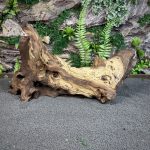 Коряга Мопани/Африканское железное дерево МП642