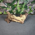 Коряга Мопани/Африканское железное дерево МП642 — изображение 3